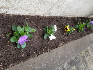 20181116_140442.jpg
